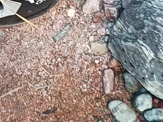 ANAL on the river while hiking