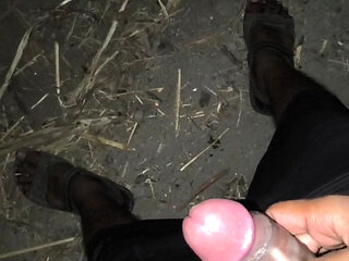 Desi gay handjob and Sex Stories