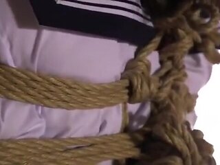 160-season-ending-who-udr