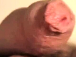 Big Latin Cocks An Up-Close Adventure