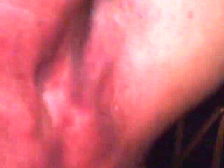 Masked BBC Encounter