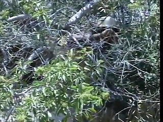 Hot bitch ass fucked on the hiking trail