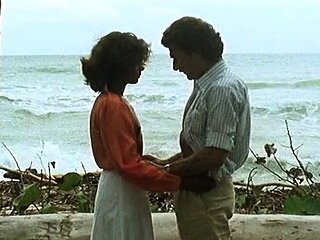 Kelly Leigh Interracial Blowjob Hardcore Fuck