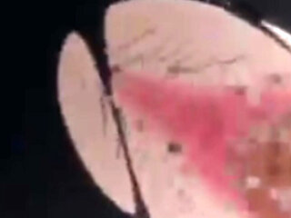 GulaGula3XXX Movie Scene-2