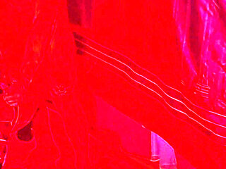 Couple Swing on a Swing