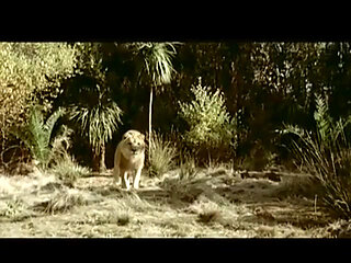 Asia loves big dick in hairy pussy in ass