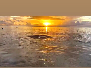 A Goddesss Sunset Is the Signature to End the Day