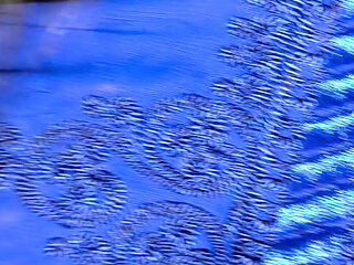 Sex Arab Wife Big Ass