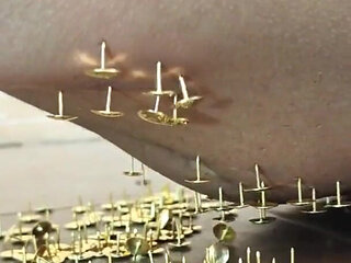 A New and Exciting Experience