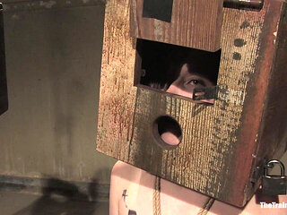 The Auditons Part Three