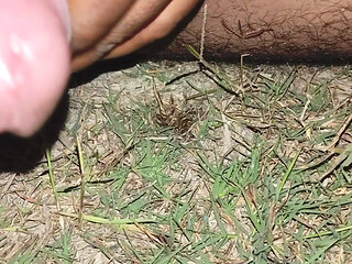 Desi and sex story that makes the penis stand up