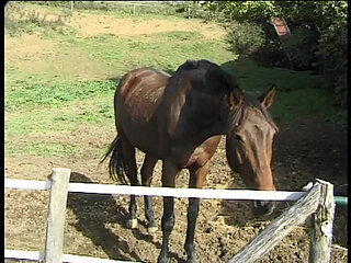 The Anal Desires of a Slut in Heat