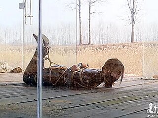 asian chinese bondage shiabri