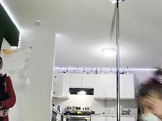 Solo Pet Play Custom