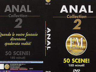 Anal Collection Vol 2