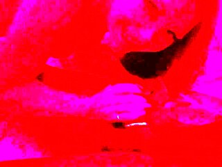 Amateur milf doing a blowjob ending in a facial