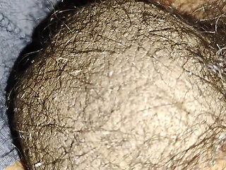 Indian Desi Boy Penis