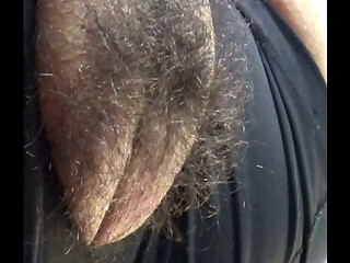 hairy big pussy - peluda