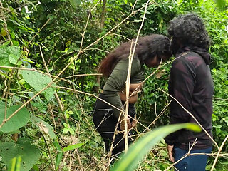 Indian Jungle Sex Video