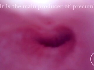 Exploring my Peehole and finding where I CUM from