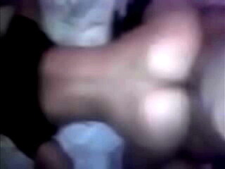 Perra sometida