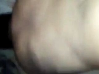 Bear Daddy's Cock Craze