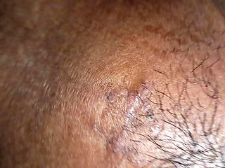 Neighbor's Sister-in-law Was Forgotten at Night and by Sanders.