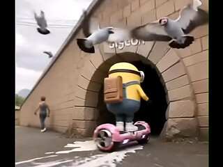 Sigeon pex minion