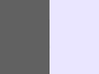 Trikepatrol Interview #2 - Law