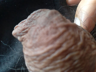 day of my big penis, say hello