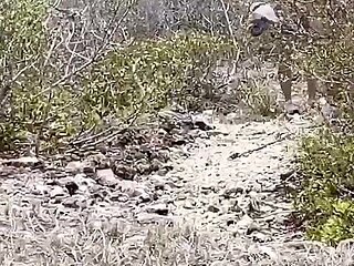 Wife Sharing on Nudist Beach While Hubby Records, Teenage Slut Gets Fucked by a Random Guy on a Nudist Beach