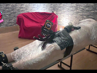 Who Would Like to Be Mummified?