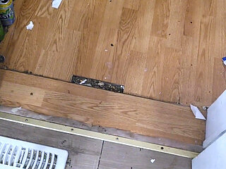 Cock ring Cumshots, a Homemade Compilation