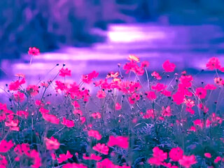 New Bangla Choti Golpo 2025