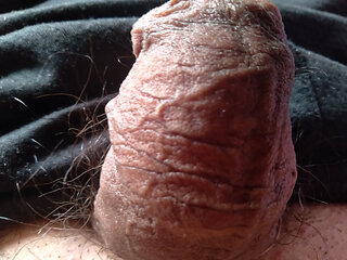 big cock looking for hardcore sex