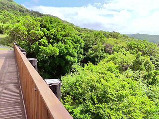 From Scenic Drive to Steamy Stop