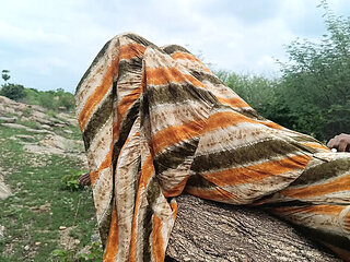 Inba and Laxi Ammu Hardcore Outdoor Fucking in Forest - Indian College Couple Romance