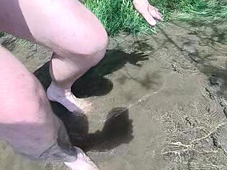 The first signs of summer