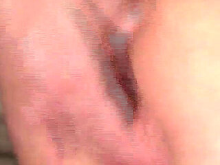 The Amazing Orgy 2 Featuring Alice Frost, Maia Davis, Sasha Casey, Savannah Fox, Summer Rae