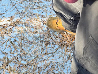 Outdoor stiff mushroom tipped cock