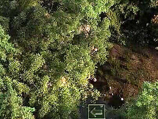 The Genesis Order V65031 Part 186 Mystery and Boobs by Loveskysan69