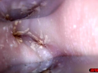 Aya Shiomi Reveals a Belly Button That Hasn't Been Cleaned in 25 Years!