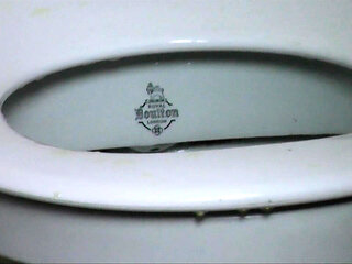Toilet Slave