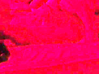 Honeymoon with Friends Wife