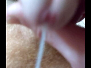 Morning Milk