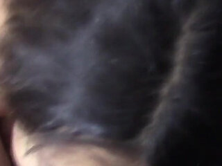 Asian Girl Giving a Blowjob