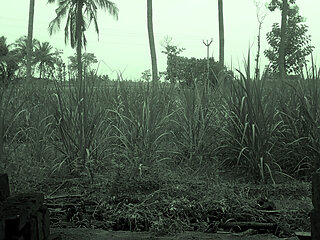 Indian House Wife Boobs Oudoor Sex