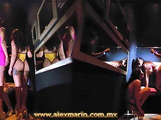 I Go to the Table, I Request 2 Very Beautiful Dancers, I Fill One