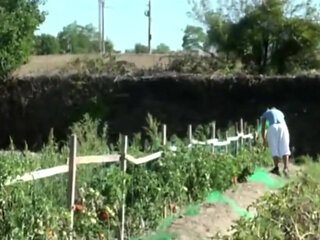 Castign porn fo Nath an and Jimy