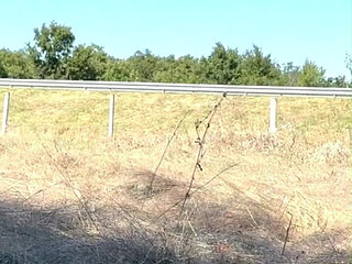 Punishing the Slave Girl